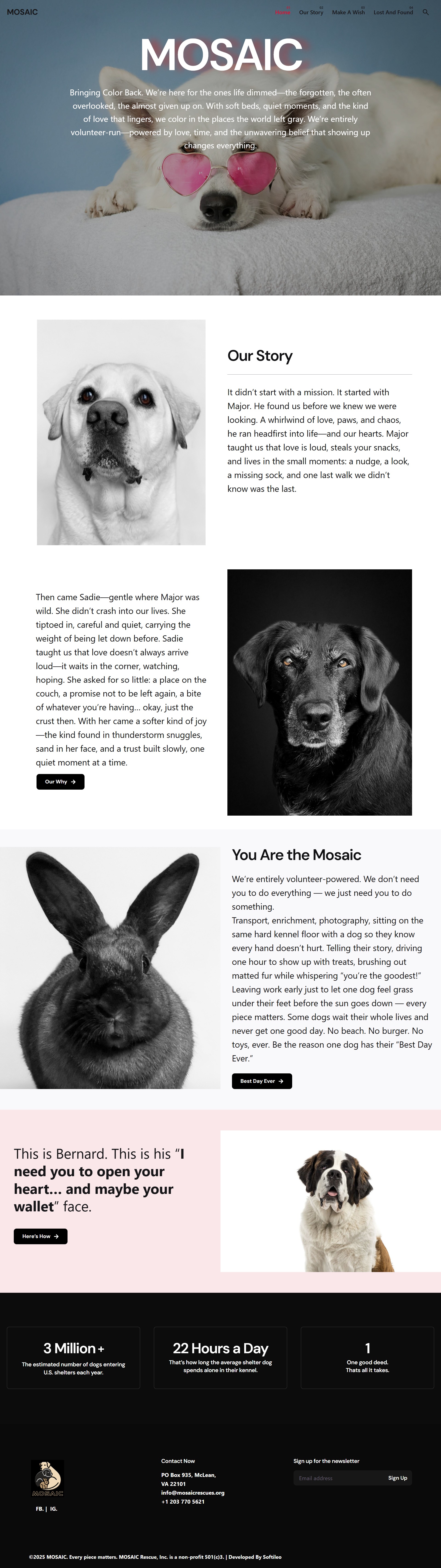 MOSAIC Rescue